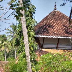 160-6038_IMG-v1.jpg