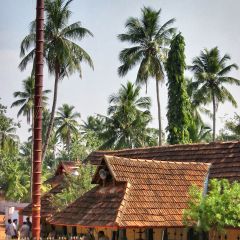 160-6041_IMG-v1.jpg