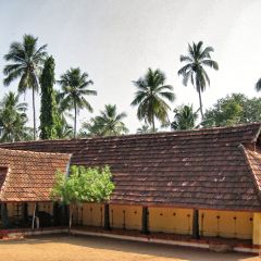 160-6043_IMG-v1.jpg