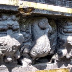 160-6062_IMG-v1.jpg