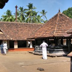 160-6066_IMG-v1.jpg