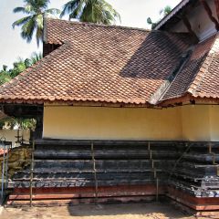 160-6067_IMG-v1.jpg