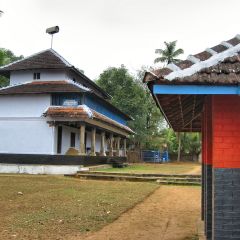 IMG_0132.jpg