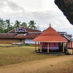 IMG_0133.jpg