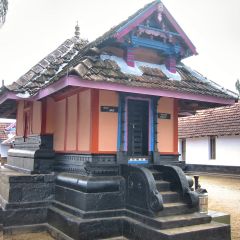 IMG_0137.jpg