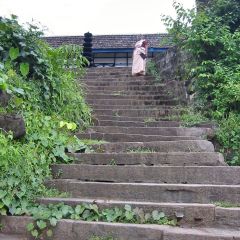 IMG_0452.jpg