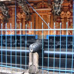IMG_0484.jpg