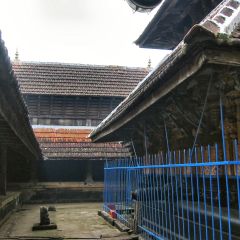 IMG_0485.jpg