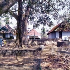 sc-01-sc-02.jpg