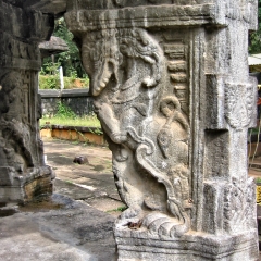 IMG_9210.png