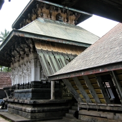 IMG_0552.png