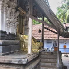 IMG_0553.png