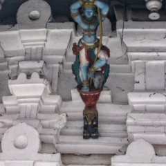 IMG_0563.png