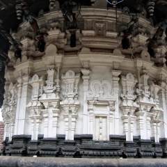 IMG_0582.png