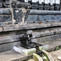 IMG_0586.png