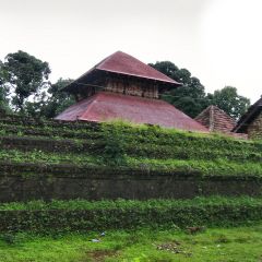 IMG_7135-v1.png