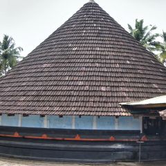 IMG_9728-v1.jpg