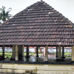 IMG_9729-v1.jpg