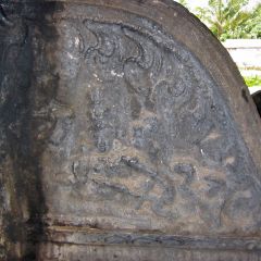 IMG_9731-v1.jpg