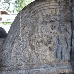 IMG_9733-v1.jpg