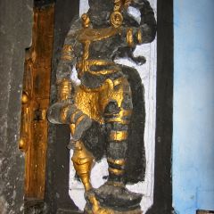 IMG_9735-v1.jpg