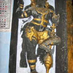 IMG_9736-v1.jpg