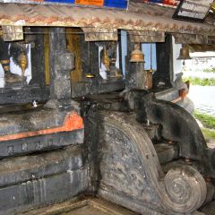 IMG_9737-v1.jpg