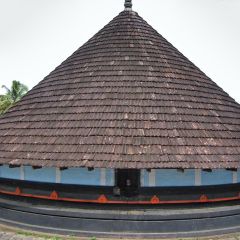 IMG_9738-v1.jpg