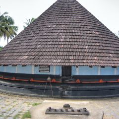 IMG_9739-v1.jpg