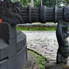 IMG_9742-v1.jpg