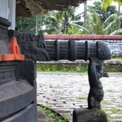 IMG_9744-v1.jpg
