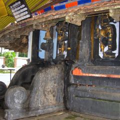 IMG_9745-v1.jpg