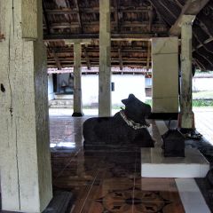 IMG_9747-v1.jpg
