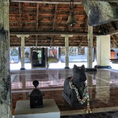 IMG_9748-v1.jpg