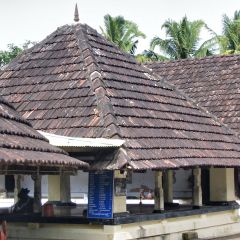 IMG_9749-v1.jpg