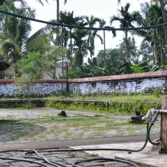 IMG_9751-v1.jpg
