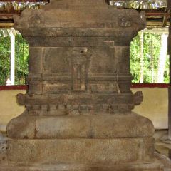 IMG_9753-v1.jpg