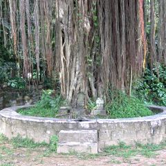 IMG_9755-v1.jpg