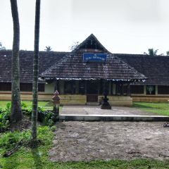 IMG_9758-v1.jpg