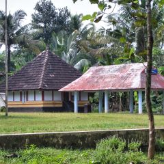 IMG_9761-v1.jpg