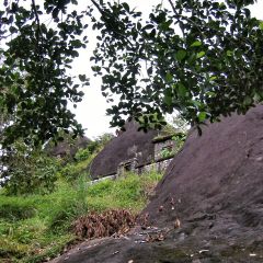 IMG_5227-v1.png