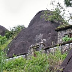 IMG_5228-v1.png