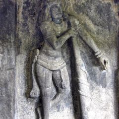 IMG_5236-v1.png