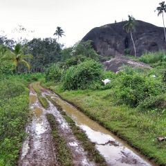 IMG_5257-v1.png