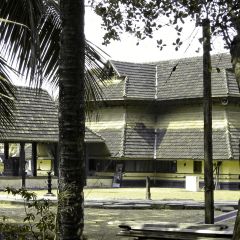 143-4349_IMG-v1.png