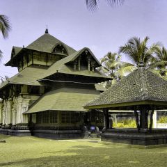 143-4352_IMG-v1.png