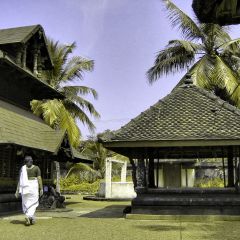 143-4355_IMG-v1.png