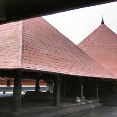 143-4392_IMG-v1.png