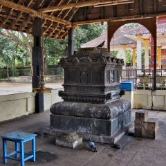 144-4433_IMG-v1.png