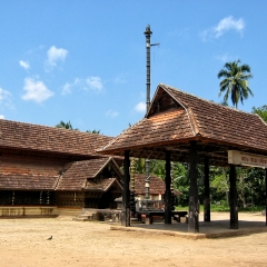 IMG_9891.png